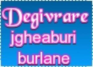 Degivrare jgheaburi,   burlane acoperis,   cai acces,   terase