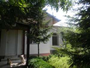 Oferta!Casa parter ,  780 mp teren Buftea