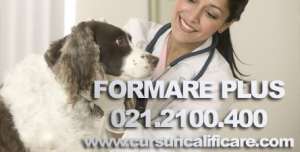 Curs de Tehnician veterinar