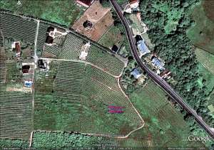 Vindem 12.150 mp. vie nobila si pasune ^n municipul Iasi,  zona sos. Bucium nr. 96 � 98,  ^n cea mai