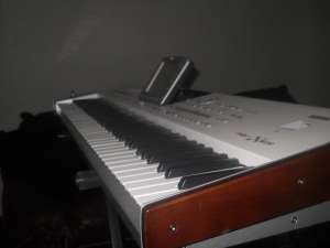 vand korg paxpro