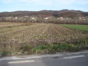 VAND URGENT TEREN LA DRAGANU!!!!!!!!