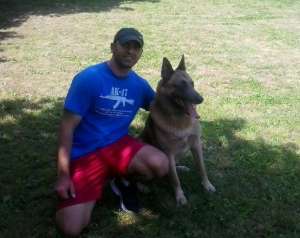 Ciobanesc belgian malinois