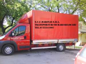 TRANSPORTURI-TIMISOARA