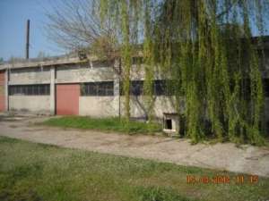 pt inchiriere hala openspace 1000mp/3000 mp curte DN2 km 55