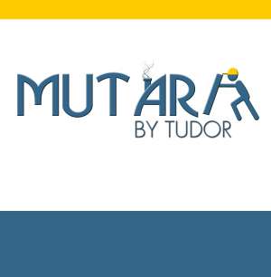Mutari Timisoara