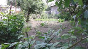 Vand casa in Nucet Dambovita