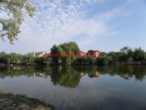 Vila Pipera lac