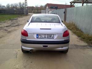 Vand Pegeout 206cc