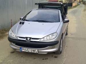 Vand Pegeout 206cc