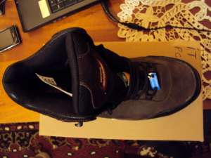 bocanci dickies