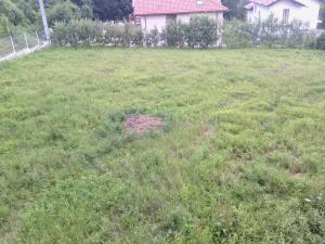 vand teren bucium iasi