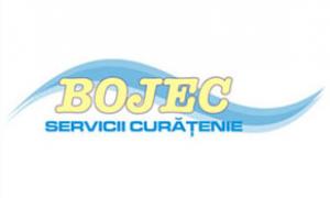 CURATENIE/CLEANING