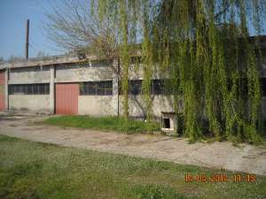 1000mp hala openspace productie/depozitare chirie 600eur/luna