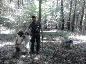 DRESEZ SI VAND CAINI DRESATI PENTRU RECOLTAREA TRUFELOR