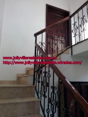 Vanzare vila de lux Unirea - pretabila club exclusivist