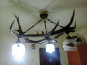 Candelabre coarne de cerb