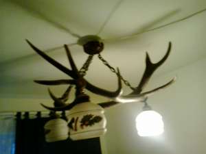 Candelabre coarne de cerb