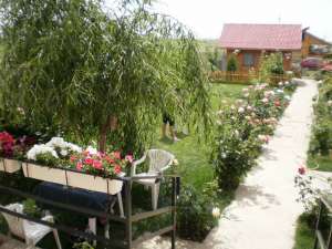 Vand/ schimb Vila Mihailesti c
